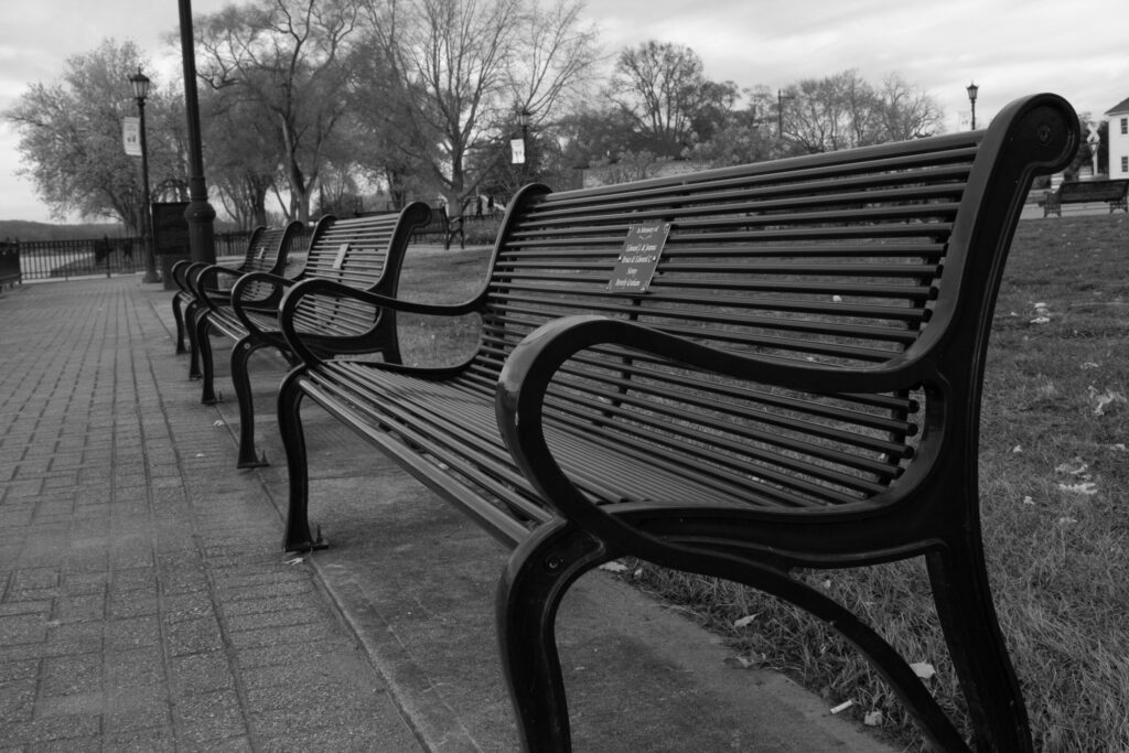 Benched in Black and White